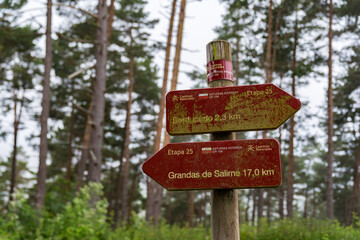 カミーノ　サンティアゴへの道