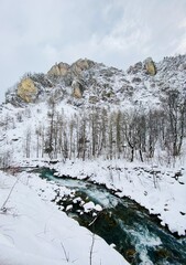 River in the winter