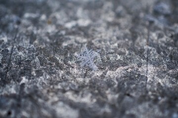 close up of snow