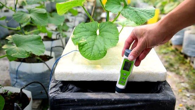 Check EC value of of water bin of hydroponics system