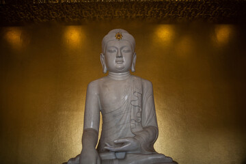 Buddha statue in the temple