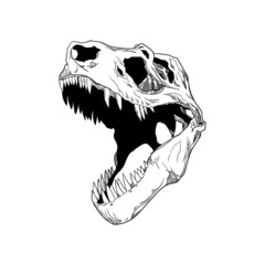 illustration skull animal dinosaur tyrannosaurus