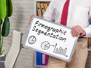 Manager holds whiteboard with firmographic segmentation charts.