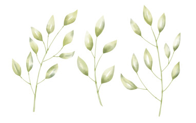 Fototapeta na wymiar Watercolor set with Branches. Hand drawn illustration of Plants with green leaves for wedding invitations or any design. Herbs on white isolated background