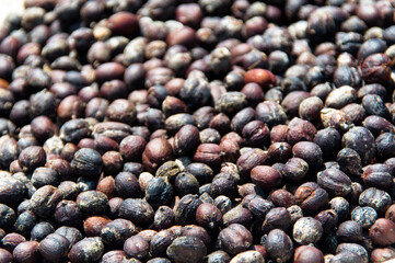 Natural fresh coffee beans that are dried