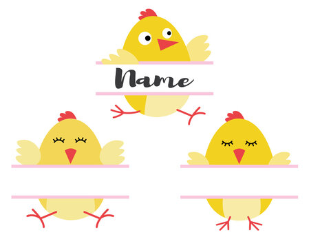 Cute Chick Design Collection set