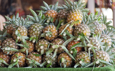 pineapple in the market