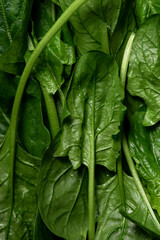 Fototapeta na wymiar Close up of spinach leaves background, healthy food ingredients