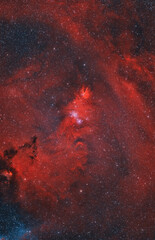 The Cone Nebula, Nebulosa Albero di Natale