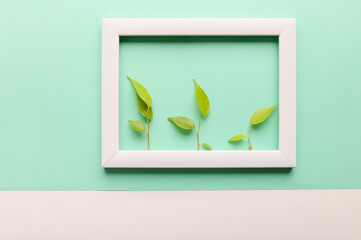 Green leaf in a frame