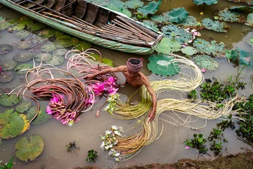 Tuinposter Old man vietnamese picking up the beautiful pink lotus in the lake at an phu, an giang province, vietnam, culture and life concept © Songkhla Studio