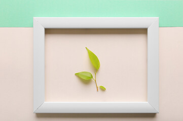 Green leaf in a frame