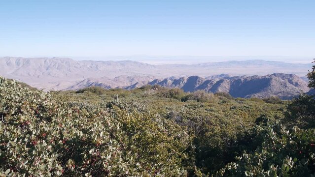 Mountains and hills in desert valley, California wilderness, USA nature. Hiking or trekking in chaparral of mount Laguna. Scenic view of Salton sea from viewpoint. Arid dry badlands and flora plants.