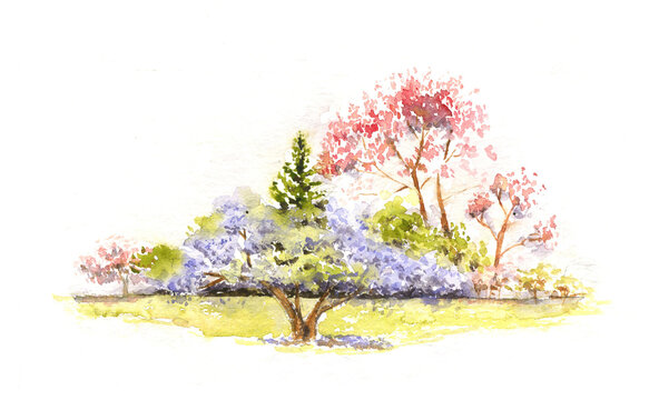 Watecolor drawing spring landscape with blooming trees