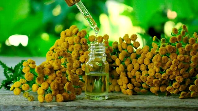 Tansy extract in a small bottle. Selective focus.