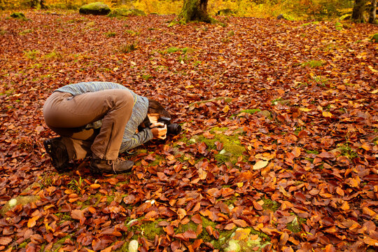 Woman trekking in the forest and taking pictures with dlsr camera