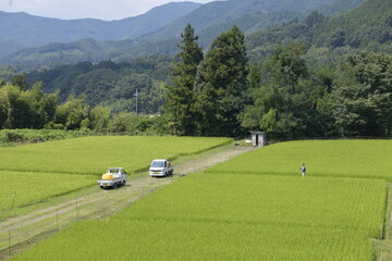 日本の田園風景