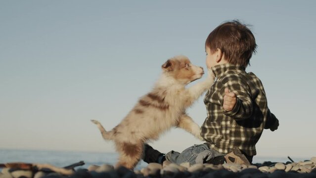 Two years old, the kid plays on the beach, a small puppy sticks to him with games, tries to lick and kiss the boy