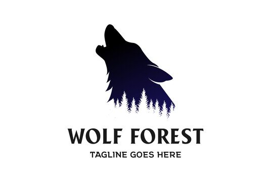 Vintage Retro Howling Wolf Silhouette with Pine Cedar Evergreen Fir Trees Forest Logo Design Vector
