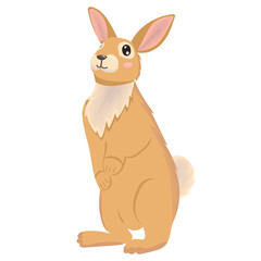 rabbit character flat design, cartoon, isolated vector