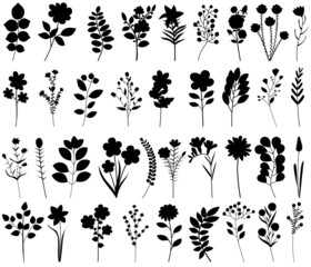 plants, flowers set black silhouette, isolated vector