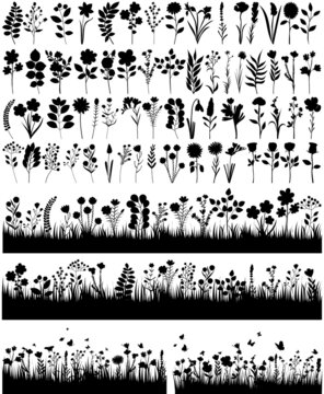 plants, flowers, grass set black silhouette, isolated vector
