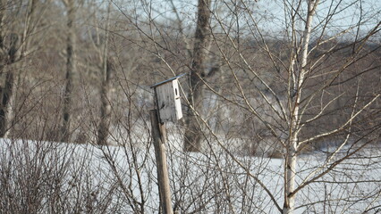 bird house in winter