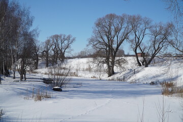 winter landscape with trees