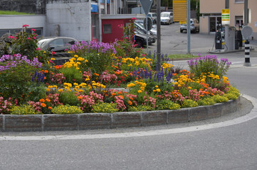 Fototapeta na wymiar Blumen im Kreisverkehr