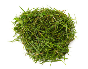 Bunch of green grass.