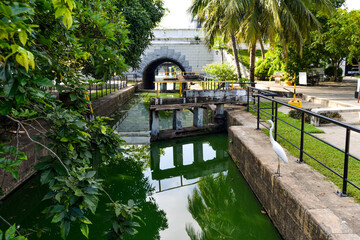 Aigrette sur écluse du lac de Colombo avec palmier au Sri Lanka