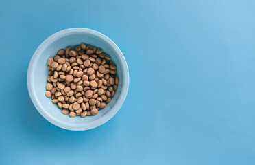 Blue bowl with dry pet food on a blue background. Layout of pet food.