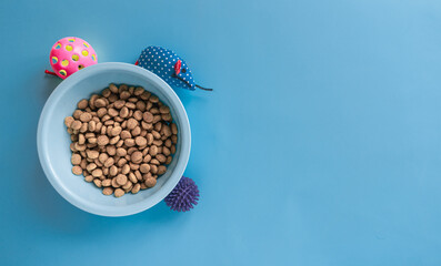 On a blue background there is a blue bowl with dry pet food next to toys. Layout for pets.