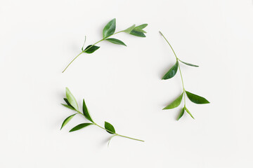 Wreath frame made of branches with green leaves on white background. Flat lay, top view, copy space.