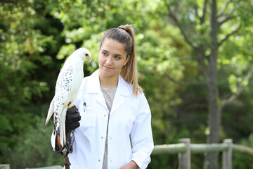 Veterinary holding a falcon in nature