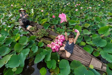 Foto auf Leinwand Top view of vietnamese boy playing with mom over the traditional wooden boat when padding for keep the pink lotus in the big lake at thap muoi, dong thap province, vietnam, culture and life concept © Songkhla Studio