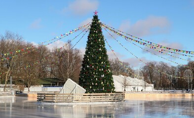 christmas tree in the city