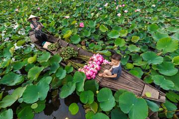 Top view of vietnamese boy playing with mom over the traditional wooden boat when padding for keep the pink lotus in the big lake at thap muoi, dong thap province, vietnam, culture and life concept - obrazy, fototapety, plakaty