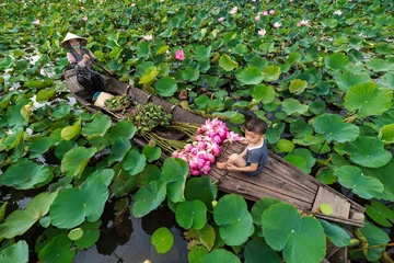 Zelfklevend Fotobehang Top view of vietnamese boy playing with mom over the traditional wooden boat when padding for keep the pink lotus in the big lake at thap muoi, dong thap province, vietnam, culture and life concept © Songkhla Studio
