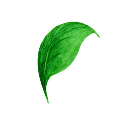 Watercolor frame with sunflower hand painted illustration, perfect for wedding invitation, greeting card, fabric, textile, wallpaper, ceramics, branding, web design, stationery, cosmetic, social media