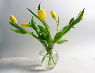 yellow tulips in vase on white background