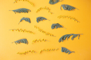 Fototapeta na wymiar spring mimosa flowers on an orange background