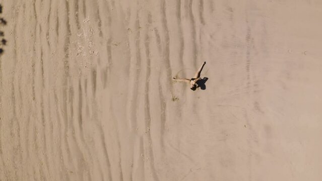 Somatic movement dance therapy on the beach, overhead aerial with woman practicing on the beach