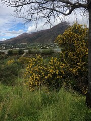 autumn in the mountains