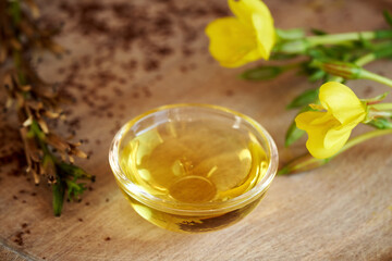 Evening primrose oil in a bowl with fresh blooming evening primrose plant