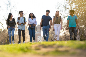 A row of young multi-ethnic students walking together in the park