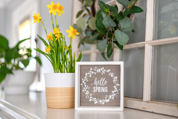 Hello spring sign and yellow daffodils on the mantel - 491285429