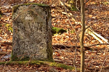 Grenzstein im Nationalpark Kellerwald