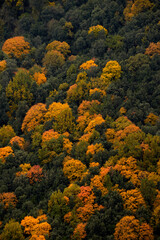 Fototapeta premium Autumn colors 