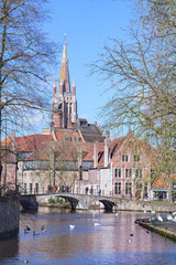 view of the city canal with ducks and swans with a beautiful gothic cathedral in the background